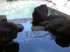 fresh-water-in-home-pool