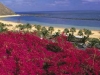 tenerife