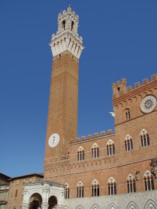1181607_64974095